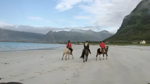 Hov Feriegård Og Camping