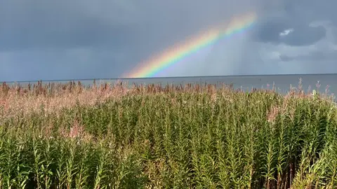 Hov Feriegård Og Camping