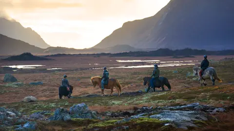 Hov Feriegård Og Camping