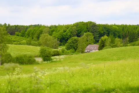 Tolne Camping