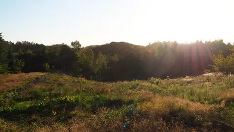 Tolne Camping