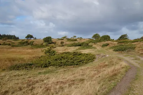 Hedelandets Camping