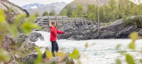 Besseggen Fjellpark AS