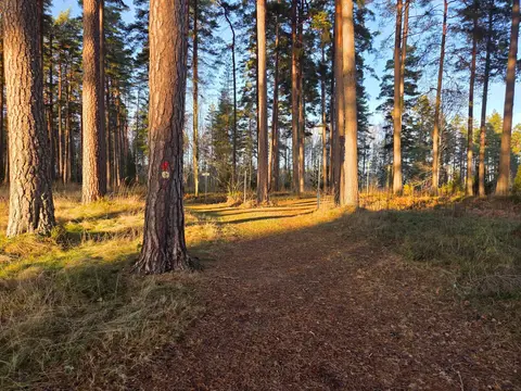Östa Camping