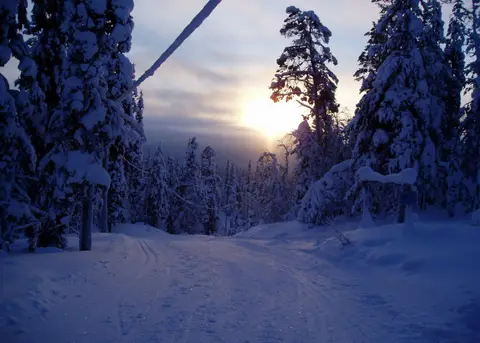 Sallaiset
