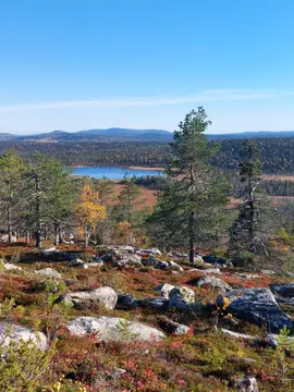Sallaiset