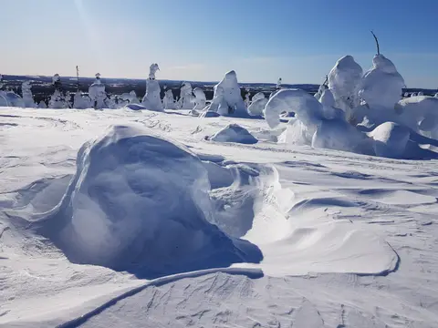 Sallaiset