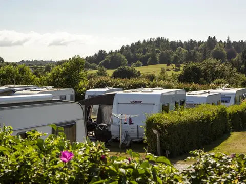 DCU Camping Skovly