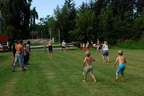 Dalgård Camping