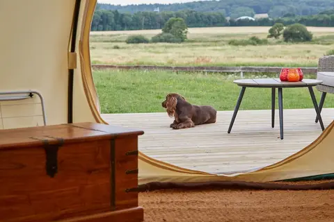 Bamsebo Camping