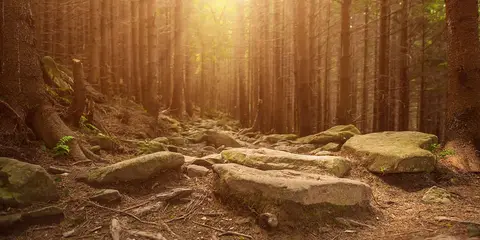 Mycklaflons Camping