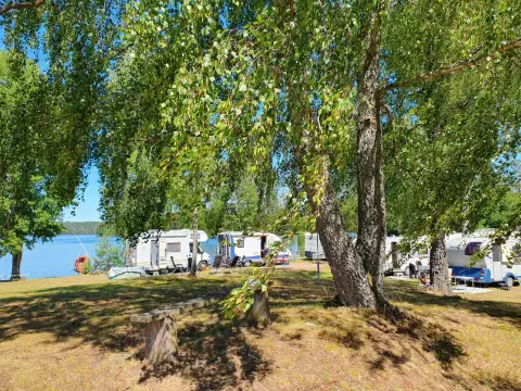 Movänta camping