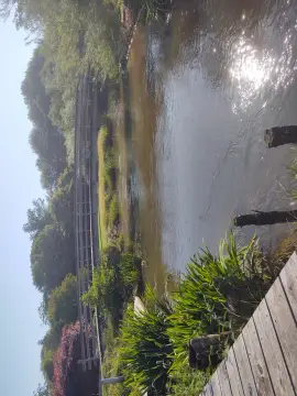 Omme Å Camping
