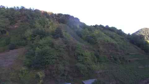 Zur Burgwiese