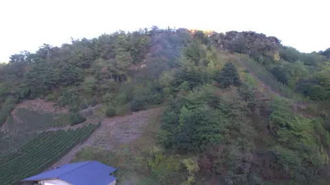Zur Burgwiese