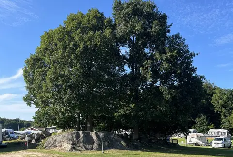 Järnaviks Camping