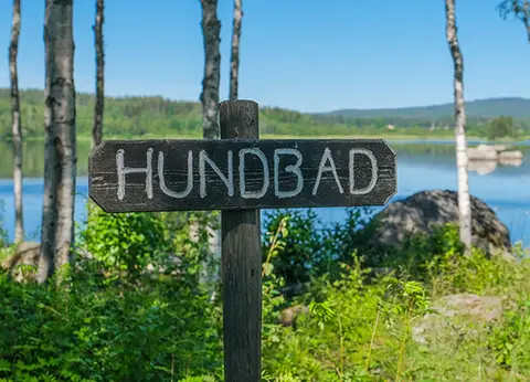 Ångersjön