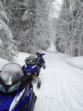 Camp Route 45