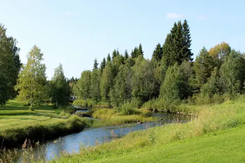 Camp Route 45