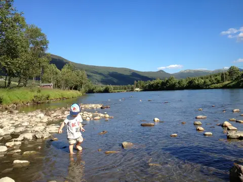 Dovreskogen Camping