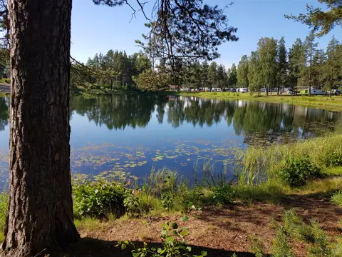 Vivstavarvstjärns Camping