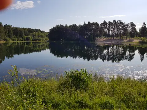 Vivstavarvstjärns Camping