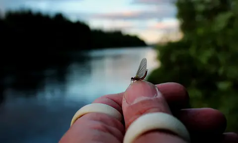 Älvdalens Camping