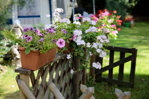 Campingdomizil Körbiskrug