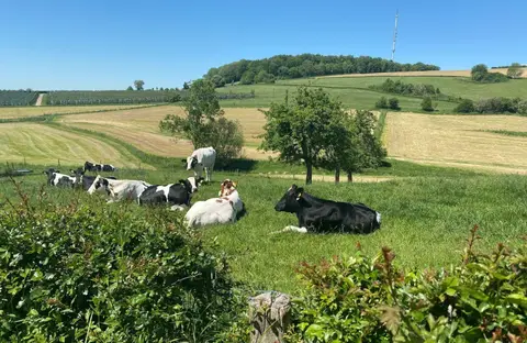 Camping Vinkenhof