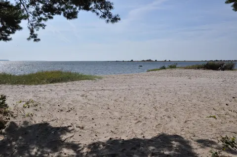 Snäckan