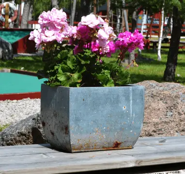 Snäckan