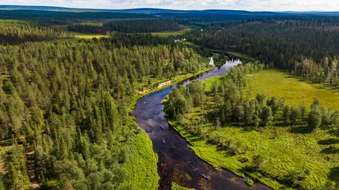 Lomakylä Tulppion Majat