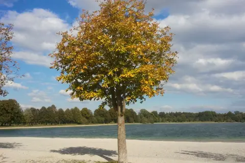 Campingplatz Langwieder See