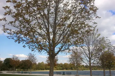 Campingplatz Langwieder See