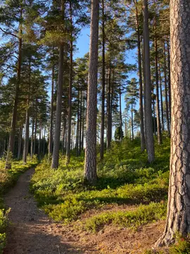Strömsnäs Naturcamping