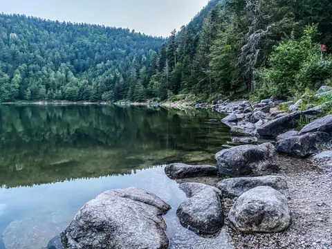 Camping Les Amis de la Nature