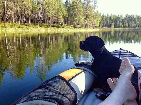 Kuusinki