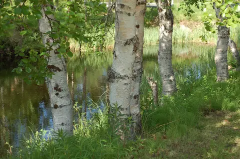 Hetan Lomakylä