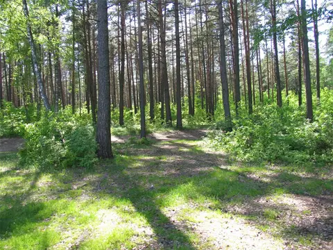 Кемпінг 1