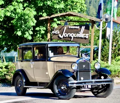 Les Jonquilles