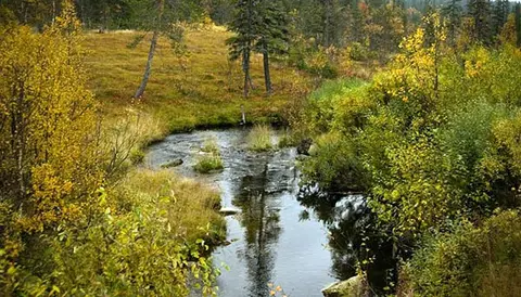 Storhogna camping