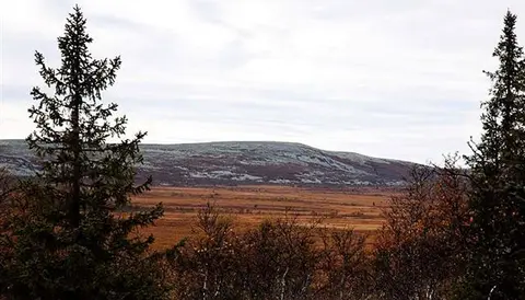 Storhogna camping