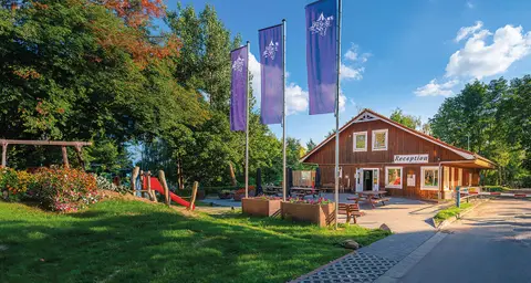 Bergwitzsee Resort