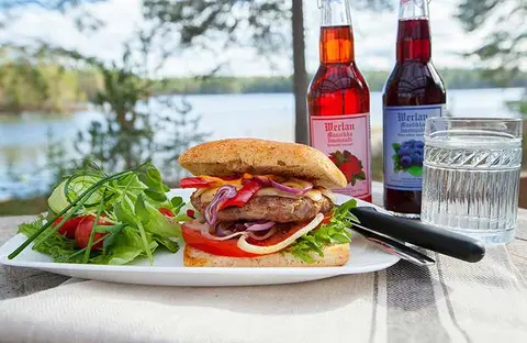 Tommolansalmen leirintäalue