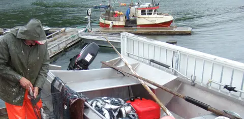 Vennesund Camping