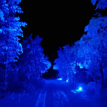 Tunturikylä Muotkan Ruoktu