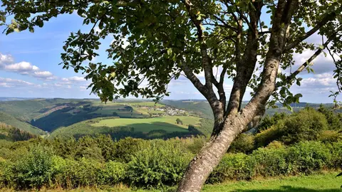 Kockelscheuer