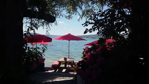 Sandseele