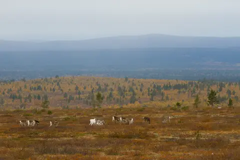 Vuotson Maja