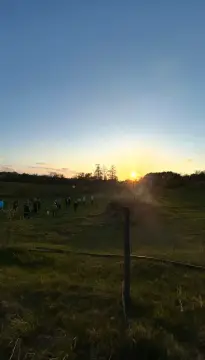 Ängdala Camping på Österlen